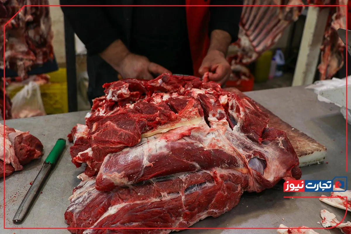 قیمت گوشت قرمز امروز ۱۱ مرداد ۱۴۰۴ مشخص شد / بازار در اولین روز هفته در چه وضعیتی قرار دارد؟