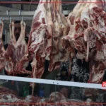 قیمت گوشت قرمز امروز ۱۴ مرداد ۱۴۰۴ + جدول