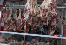 قیمت گوشت قرمز امروز ۱۴ مرداد ۱۴۰۴ + جدول