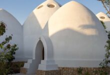 معماری جدید در امارات؛ مدرسه‌ای با طرح الهام‌گرفته از ماهی کوی+ تصاویر