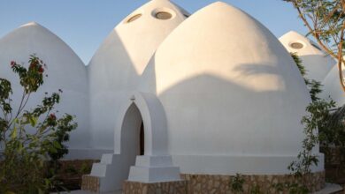 معماری جدید در امارات؛ مدرسه‌ای با طرح الهام‌گرفته از ماهی کوی+ تصاویر