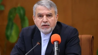 وزیر میراث فرهنگی: نقش آفرینی بخش خصوصی در احیای آثار تاریخی موثر است