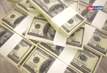 واردات کالای اساسی با ارز تک‌نرخی قیمت آن را افزایش می‌دهد