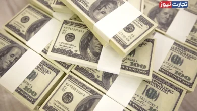 واردات کالای اساسی با ارز تک‌نرخی قیمت آن را افزایش می‌دهد