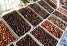 وقتی خرما پلی برای ورود خودرو می‌شود