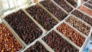 وقتی خرما پلی برای ورود خودرو می‌شود