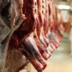 میوه تورم خوراکی ها در خرداد 1402 گوشت