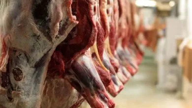 میوه تورم خوراکی ها در خرداد 1402 گوشت
