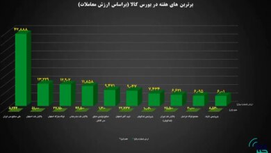 ۱۰ شرکت برتر بورس کالا معرفی شدند