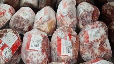 افزایش قیمت گوشت منجمد هم‌زمان با واردات انبوه | در بازار چه خبر است؟