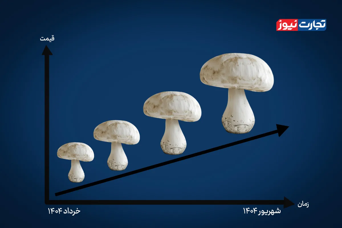 افزایش ۱۰۶ درصدی قیمت قارچ در ۳ ماه اخیر / چه عواملی در افزایش قیمت قارچ نقش داشتند؟