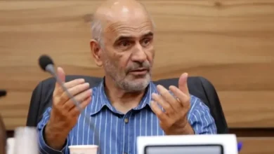 انتقاد یک اقتصاددان از نحوه محاسبه رشد اقتصادی در ایران