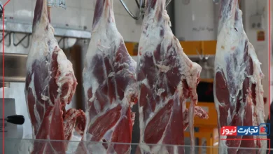 قیمت گوشت امروز 29 شهریور