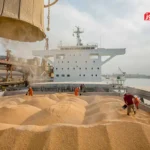 برای واردات نهاده‌ های کشاورزی مشکل تأمین ارز وجود دارد / کمبود و گرانی، تبعات کاهش واردات نهاده‌ های کشاورزی‌ است