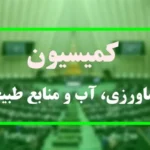 بررسی دلایل گران شدن قیمت گوشت در مجلس