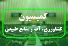 بررسی دلایل گران شدن قیمت گوشت در مجلس