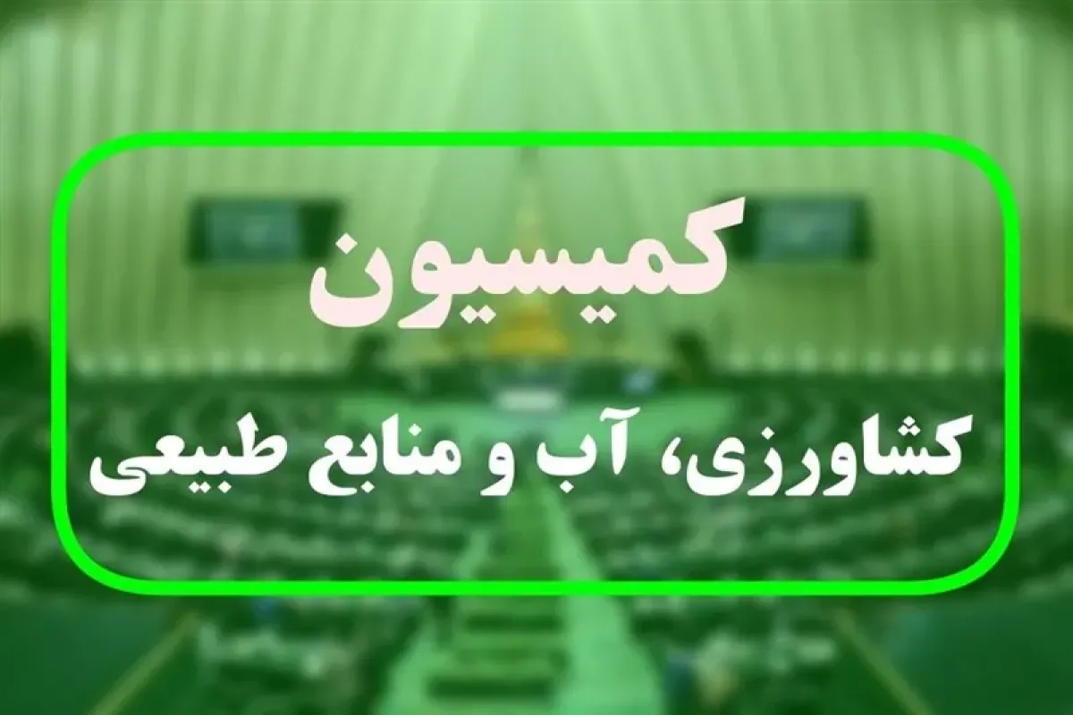 بررسی دلایل گران شدن قیمت گوشت در مجلس