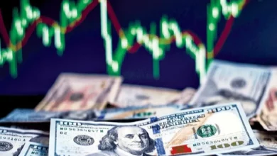 بیشترین چالش بخش خصوصی با بانک مرکزی بر سر چیست؟