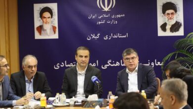 تشکیل کمیته مشترک ابریشم گیلان و ازبکستان | تمام حلقه های زنجیره صنعت ابریشم در گیلان وجود دارد