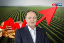 تورم مواد غذایی