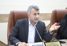 حمایت از تولید کیوی و صادرات آن به کشورهای حوزه خلیج فارس در اولویت قرار دارد