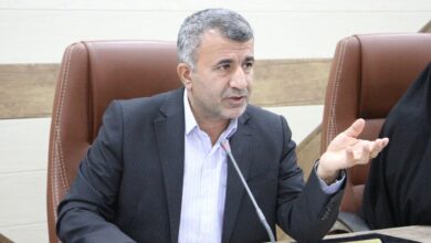 حمایت از تولید کیوی و صادرات آن به کشورهای حوزه خلیج فارس در اولویت قرار دارد