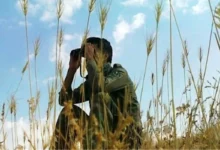 محیط‌بانان