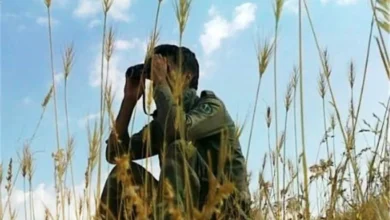 محیط‌بانان