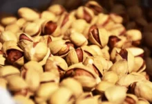 سال گذشته ۱.۷ میلیارد دلار پسته از کشور صادر شد