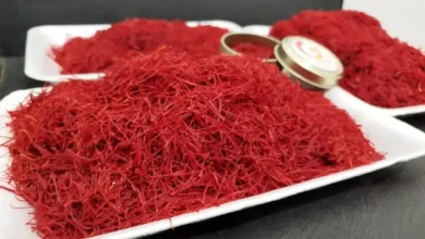 تولید زعفران