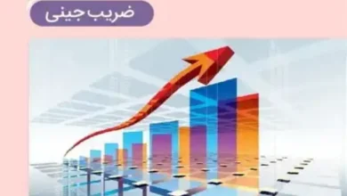 ضریب جینی خانوارهای ایرانی در سال ۱۴۰۳ به ۰.۳۹ کاهش یافت