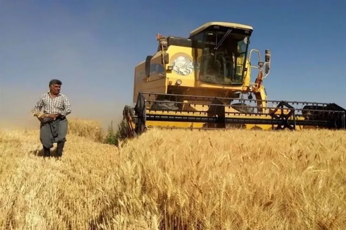 قیمت خرید تضمینی گندم نباید کمتر از ۳۰ هزار تومان باشد