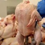 قیمت مرغ