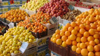 قیمت میوه‌های پاییز مطلوب است