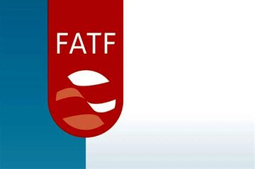 مخالفان اسناد را مطالعه نکرده‌اند و نمی‌دانند در دنیا هیچ کشوری اطلاعات به FATF نمی‌دهد!