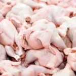 قیمت مرغ