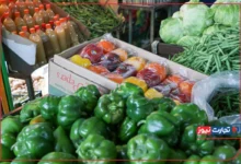 ناترازی انرژی به قیمت صیفی‌جات رسید / برق چاه‌های کشاورزی روزانه بین ۶ تا ۱۰ ساعت قطع می‌شود