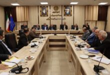 هشدار مدیر کل صمت به گرانفروشان: بازرسی‌ها را دوچندان کنید و به متخلفین امان ندهید