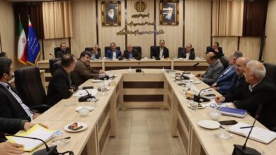 هشدار مدیر کل صمت به گرانفروشان: بازرسی‌ها را دوچندان کنید و به متخلفین امان ندهید