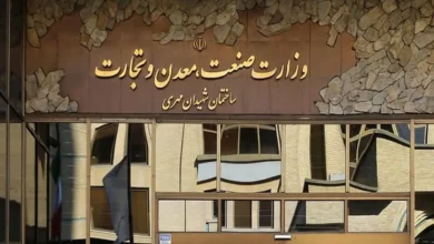 وزارت صمت به دنبال اجماع برای حل اختلاف تعرفه‌ای واردات خودرو