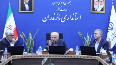 پیشنهاد تشکیل شرکت سهامی و ایجاد نشان تجاری قدرتمند ملی و بین‌المللی برای برنج مازندران
