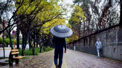 بارندگی‌ها 28 درصد افزایش یافت