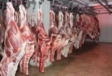 قیمت گوشت