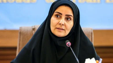 آذربایجان را از ایران به نخجوان وصل می‌کنیم | عبور 5 میلیون تن بار از مسیر راه آهن رشت-آستارا تضمین شد