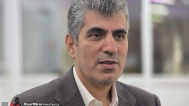 از افتتاح نخستین کارخانه تولید پاستیل کیوی تا پیش‌بینی تولید ۲۲۰ هزار تنی کیوی