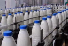تولیدکنندگان: افزایش قیمت لبنیات از سر ناچاری است، نه سودجویی!