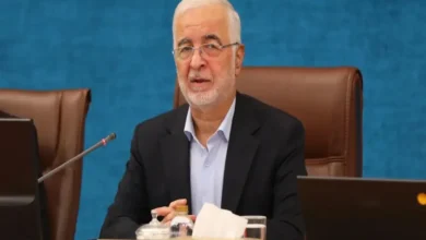 وزیر کشور: برگزاری انتخابات تناسبی، پایه‌های سیستم حزبی را تقویت می‌کند