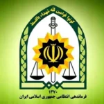 توضیح پلیس درباره بازداشت یک بازیگر معروف