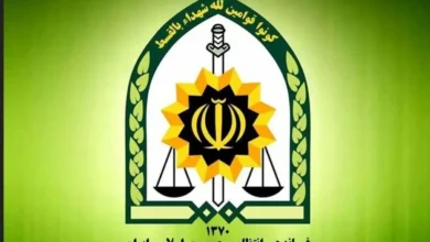 توضیح پلیس درباره بازداشت یک بازیگر معروف