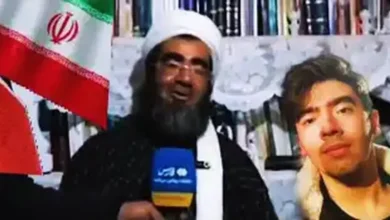 توضیحات قاضی شهریاری پیرامون متوقف شدن اجرای حکم قصاص قاتل امیرمحمدخالقی